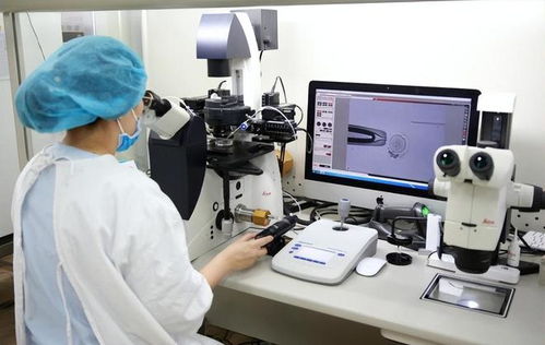 走进海外辅助生殖BRG的背后 以技术服务共展生殖新愿景——浙江实践