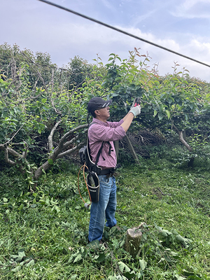 2024年浙江省“百姓学习之星” | 施星仁 扎根技术服务的“乡土工匠”