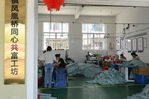 村里建起“没有围墙的工厂”——浙江临海“共富工坊”以技术服务助力农民家门口就业增收